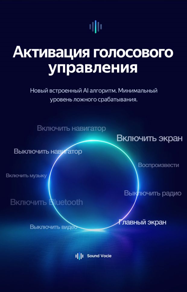 Активация голосового управления - Пожизненно